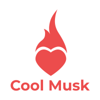 合肥網站建設案例：coolmusk.com